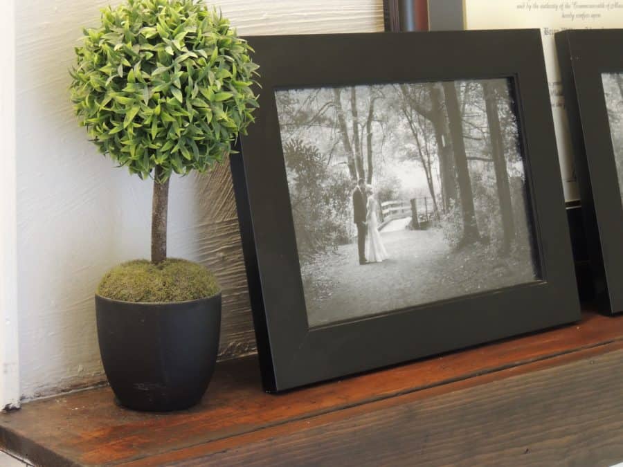 A black and white photo of a couple wearing formal wear in a park, framed in black, next to a plant in a black pot