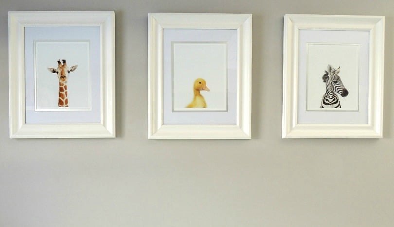 These adorable baby animal prints added a cute touch to our baby boy nursery decor