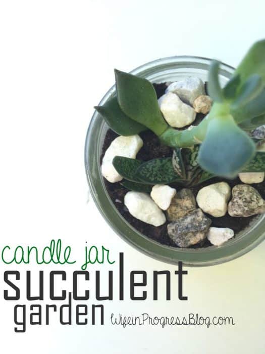 Candle Jar Succulent Garden
