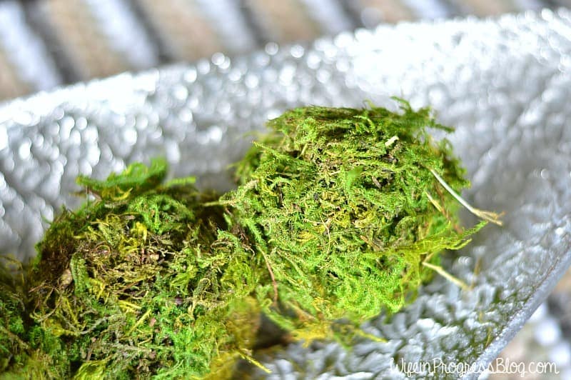 A close up of two DIY moss balls in a textured silver tray