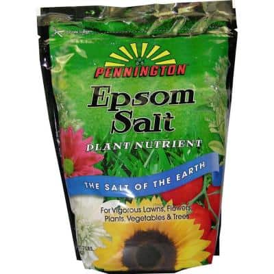 A bag of Epsom salt plant nutrient