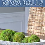DIY moss balls
