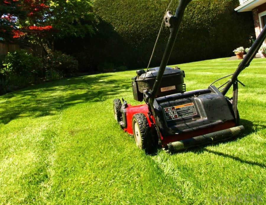 A lawn mower being pushed along a grassy area