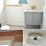 Week 5 Bathroom Remodel