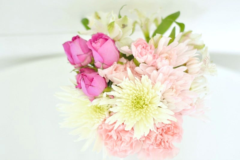 A close-up of dark pink, light pink and light yellow flowers 