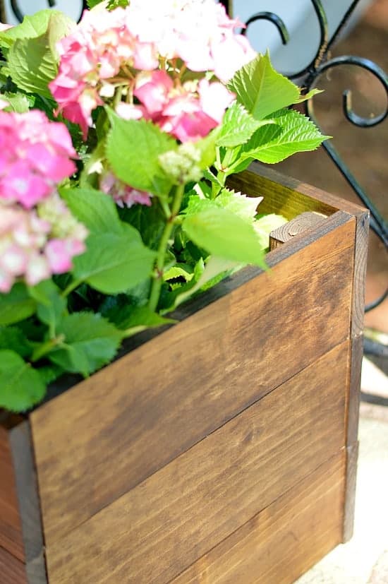 The corner of a box planter and the pink flowers and green leaves of the plant above the rim of the planter