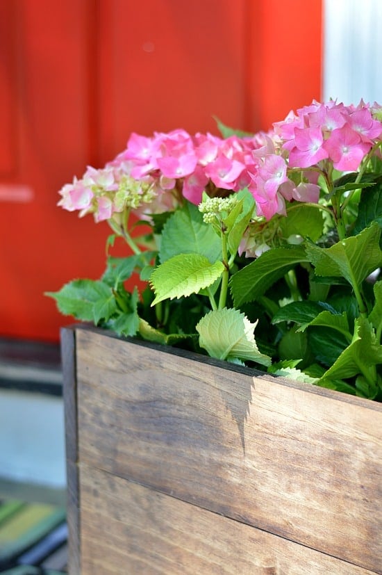 a $10 DIY wood planter box tutorial