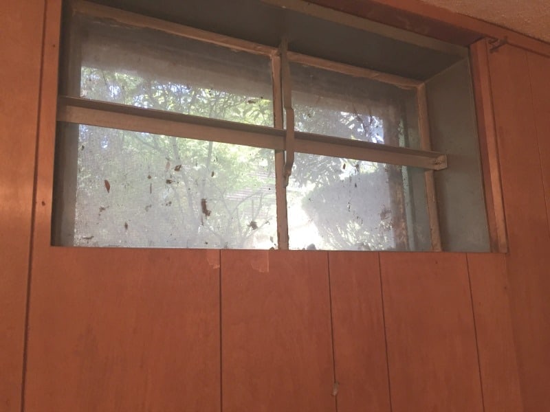A window with leaves stuck on the panes, above the wood paneled walls