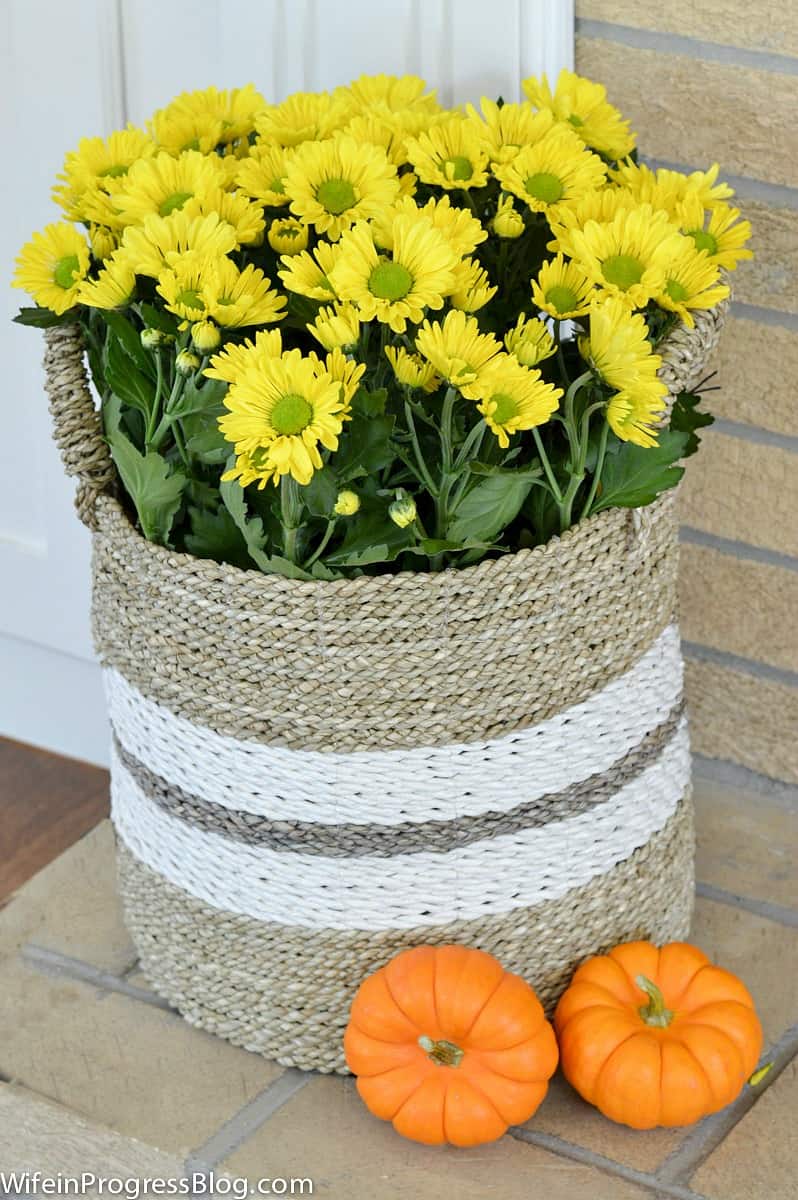 Basket of yellow mums on the hearth