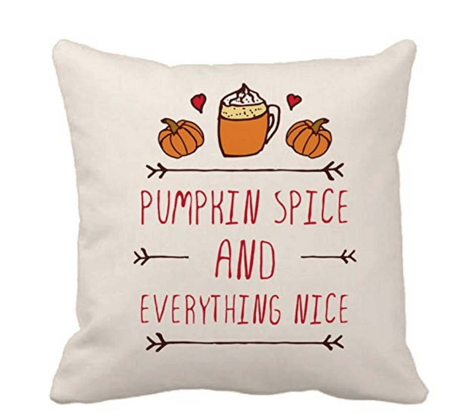Pumpkin spice and everything nice pillow from Amazon