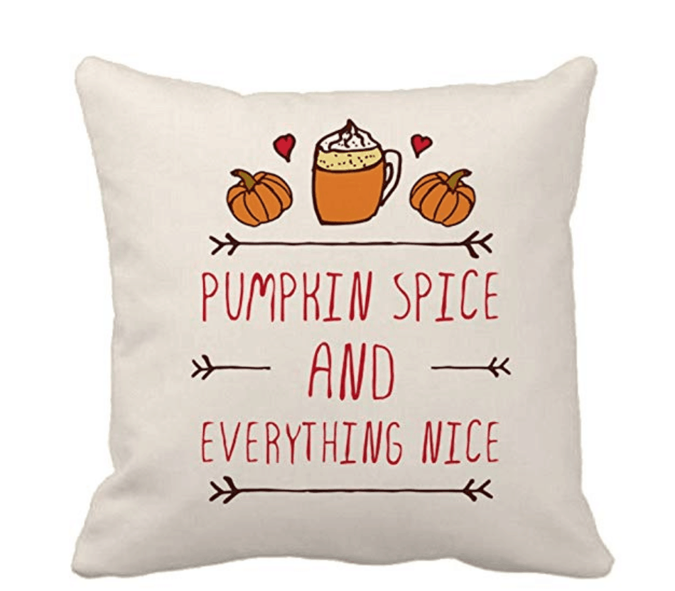 Cheap Fall Throw Pillows For Your Home Under 10