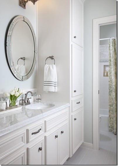 Healing Aloe Bathroom paint color paired with white cabinetry in a calming bathroom.