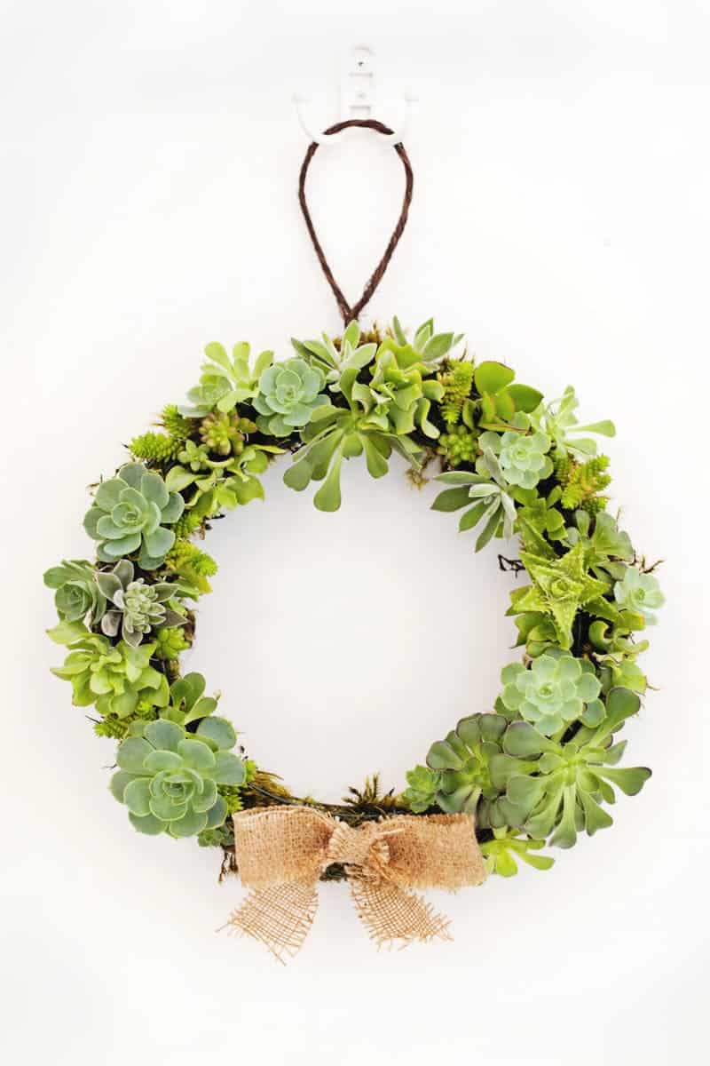How to Make a Christmas Wreath - 21 of the best Christmas Wreaths That You Can Make Yourself! This non traditional succulent wreath is perfection