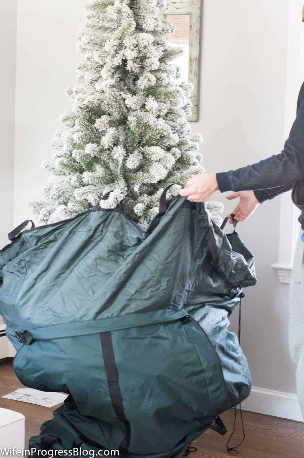 putting a Christmas tree into a storage bag