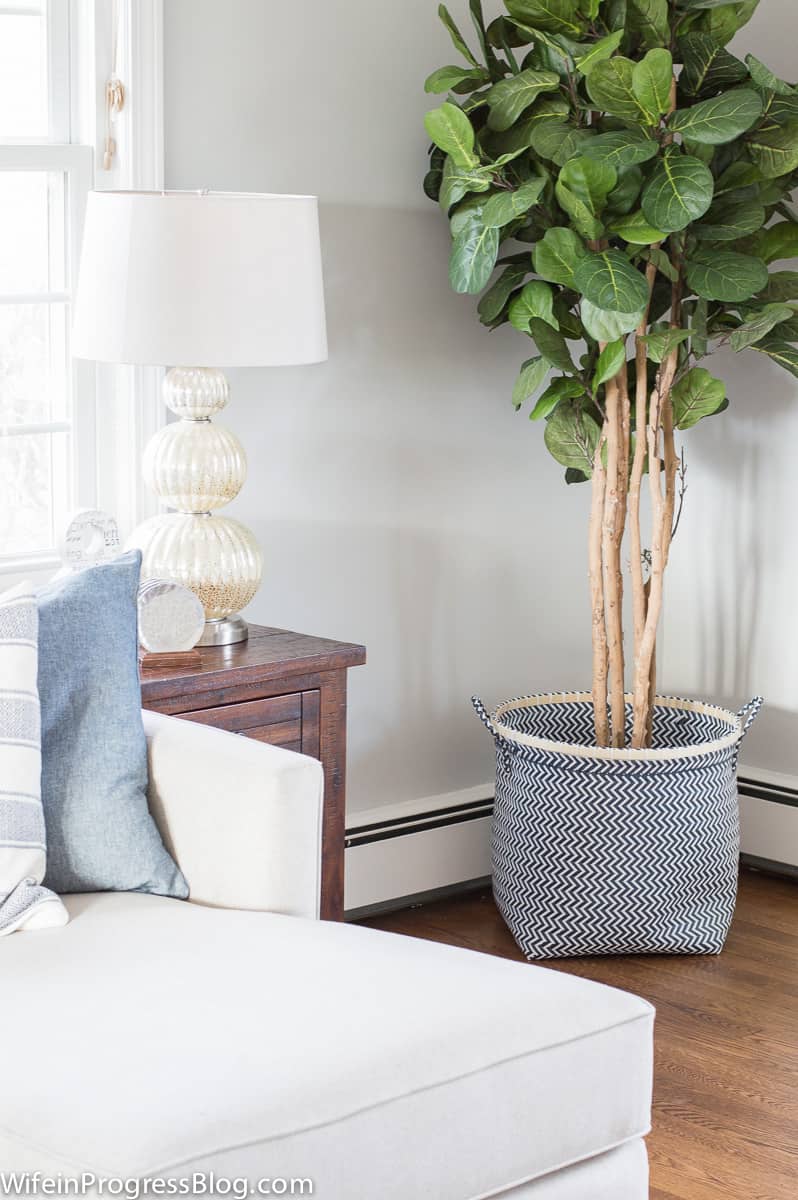 A large houseplant resting on the floor, near an end table with a silver and white lamp, by the sofa