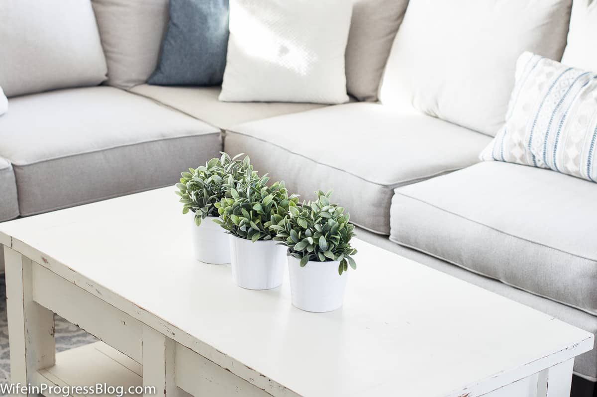 Three small white pots holding green plants on a white, rectangular coffee table in a living room