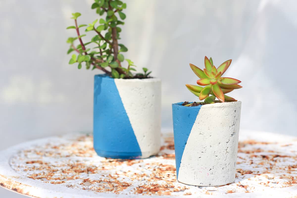 2 cement planters painted blue and white with succulents inside