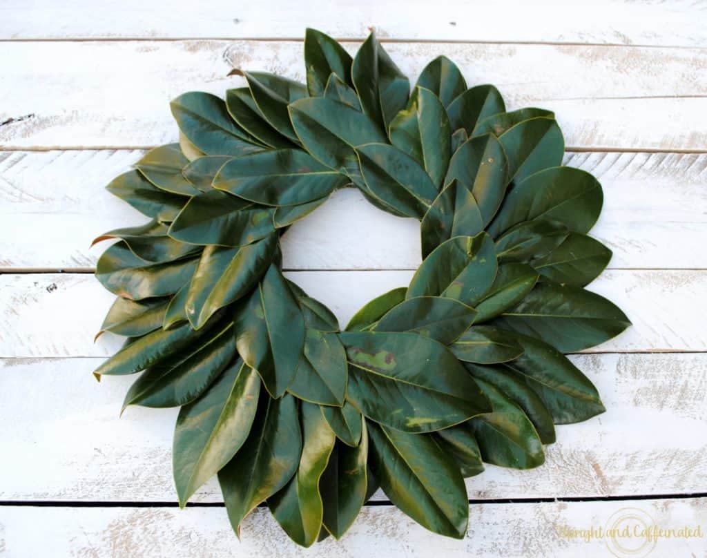 DIY Magnolia Wreath: Spring Wreath Ideas For You to DIY