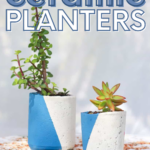 DIY Ceramic Planters
