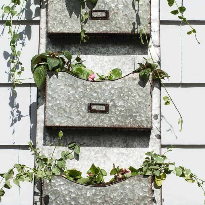 flowers in a metal mailbox sorter