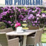 No patio? Decorate and style your backyard with these simple ideas that don't require a patio or deck!