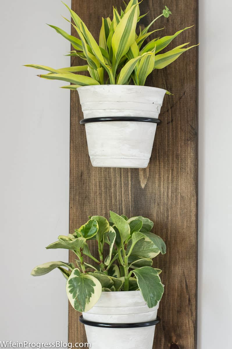 Easy DIY Wooden Wall Planter. Simple farmhouse style project that is perfect for spring and will look cute in any room of your home.