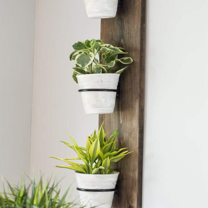 Vertical wooden plank, stained brown, holding 3 white plant pots with greenery