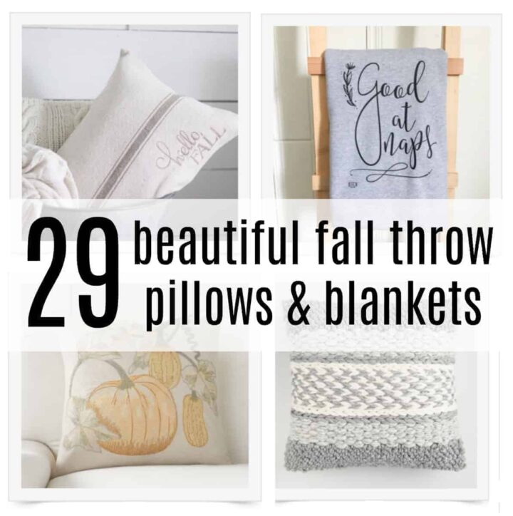 Cheap Fall Throw Pillows For Your Home Under 10