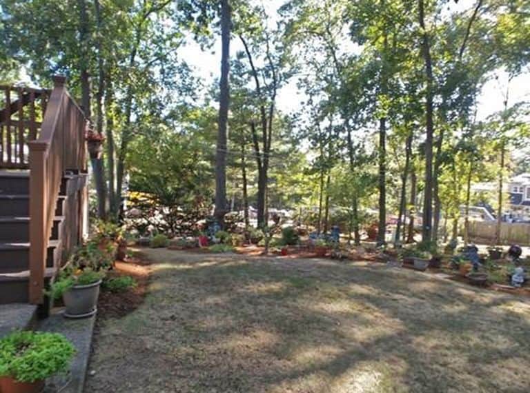 A large grassy area with tall trees and small plants around the border, next to an outside deck