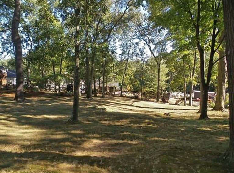 A large backyard almost completely shaded by trees