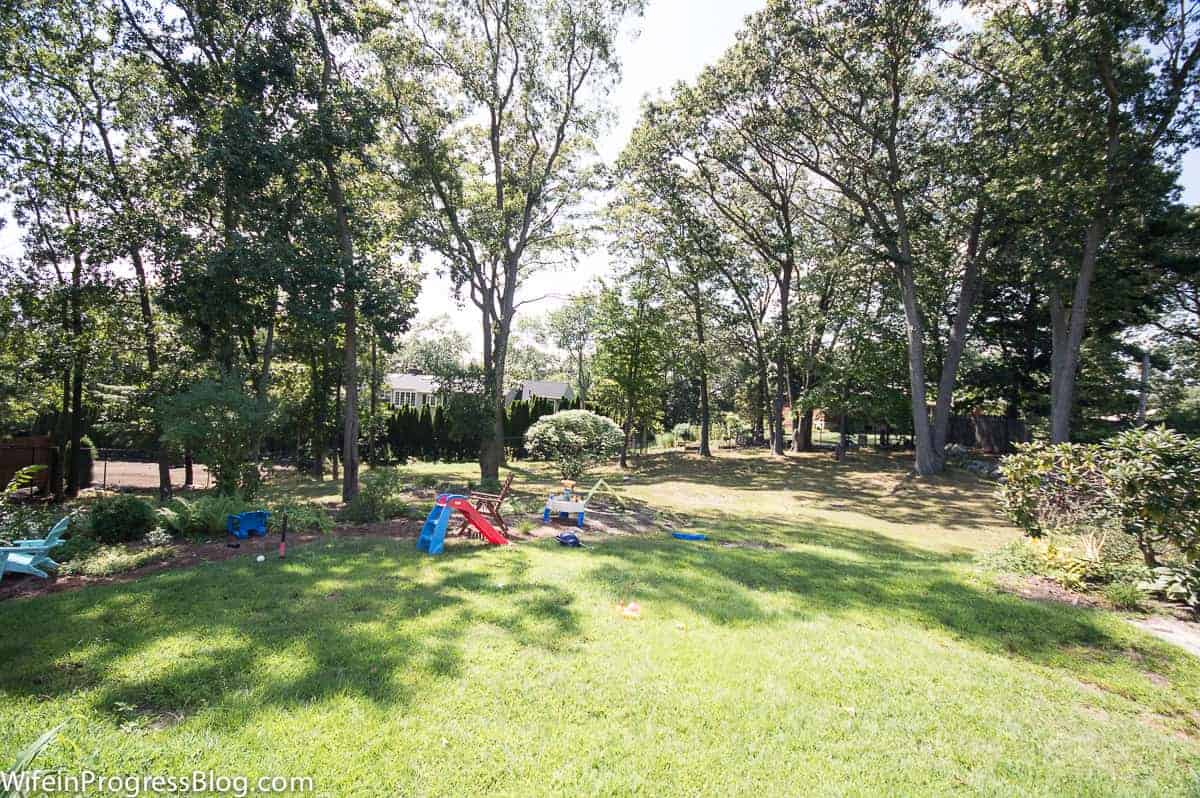 A backyard with a large, sunny, grassy area in the middle and trees along the border, along with a few toddler toys