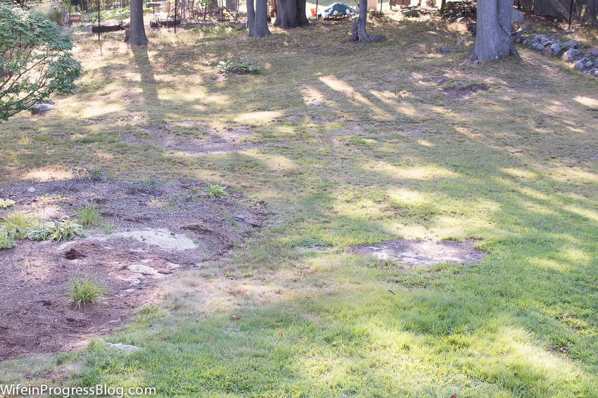 A hilly backyard after rain, with puddles in various sections