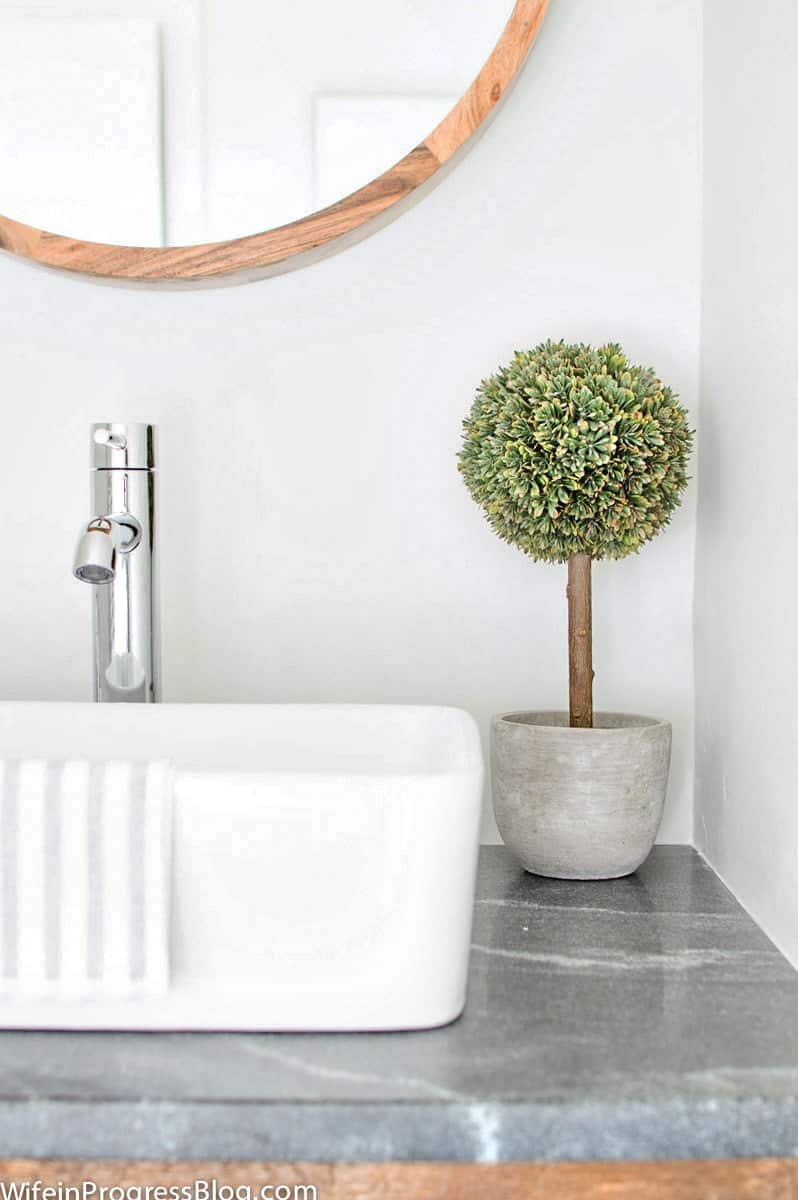 A small topiary sits near a farmhouse-style white sink 