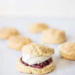 These light and fluffy scones are a traditional Irish recipe. They are a quick bread meaning they don't require yeast so they are really easy to make!