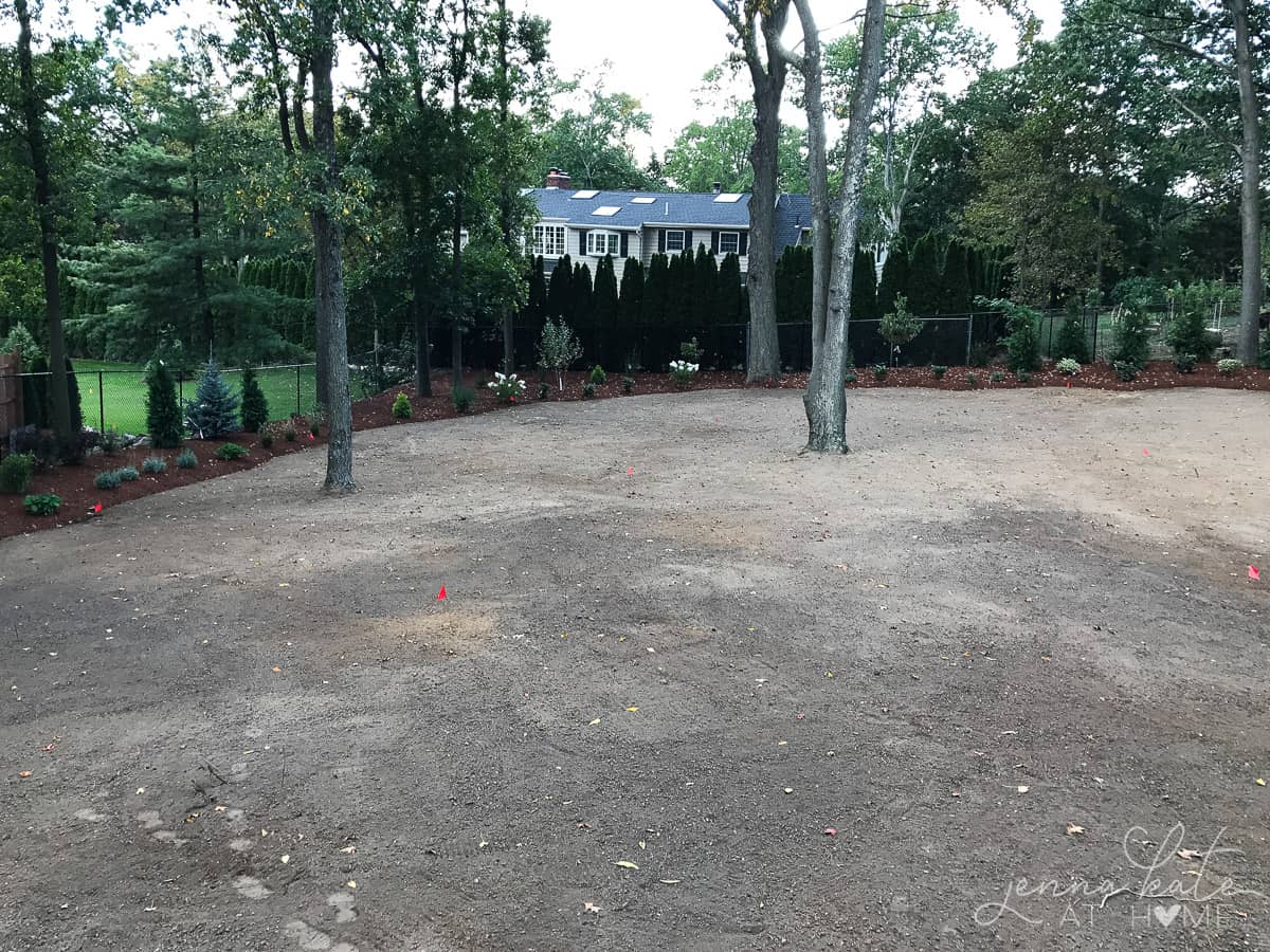 A backyard with a border of plants around it and a wide open space with dirt and a few trees