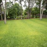 large backyard landscaping ideas