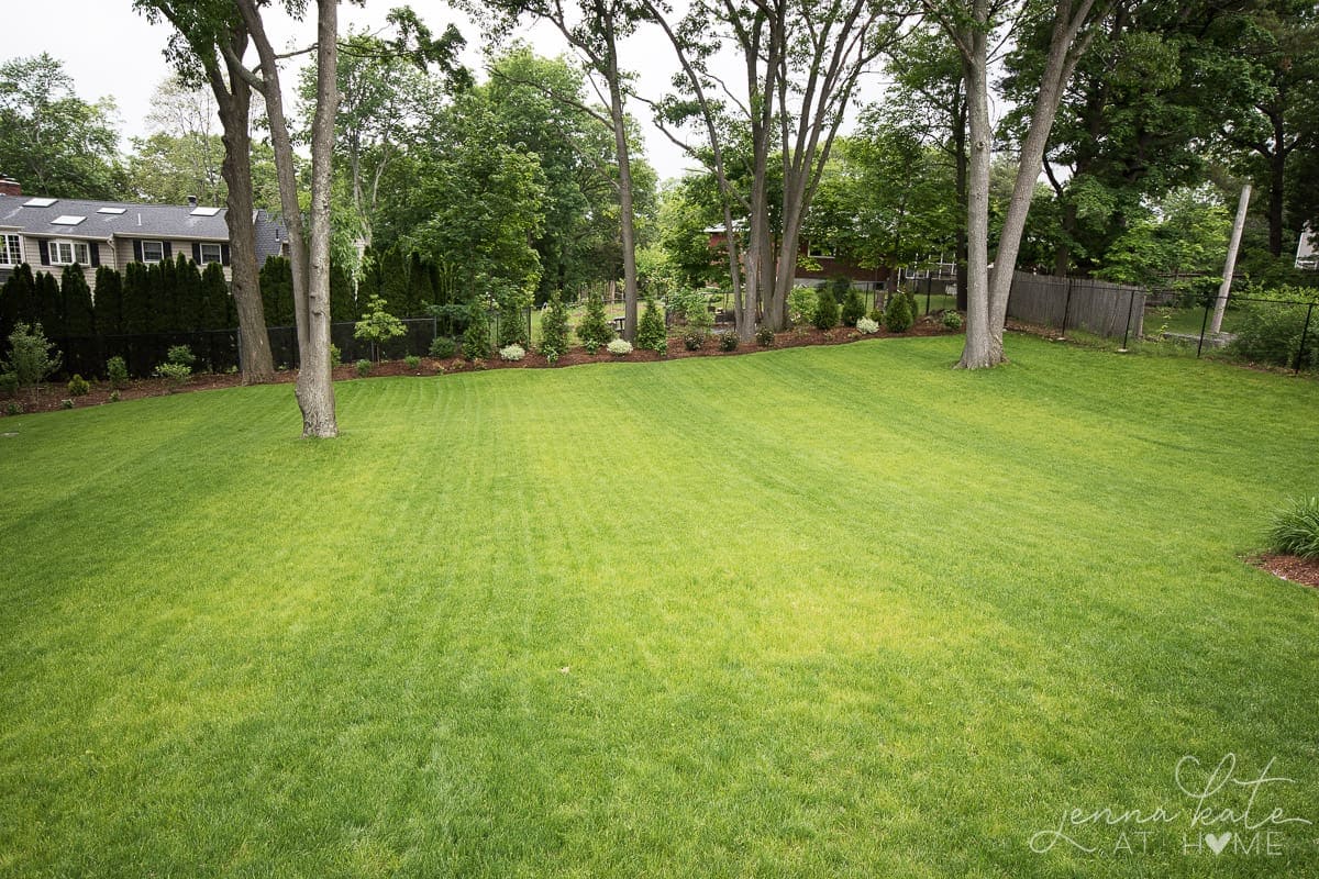 a large grassy back yard