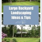 Large Backyard Landscaping Ideas