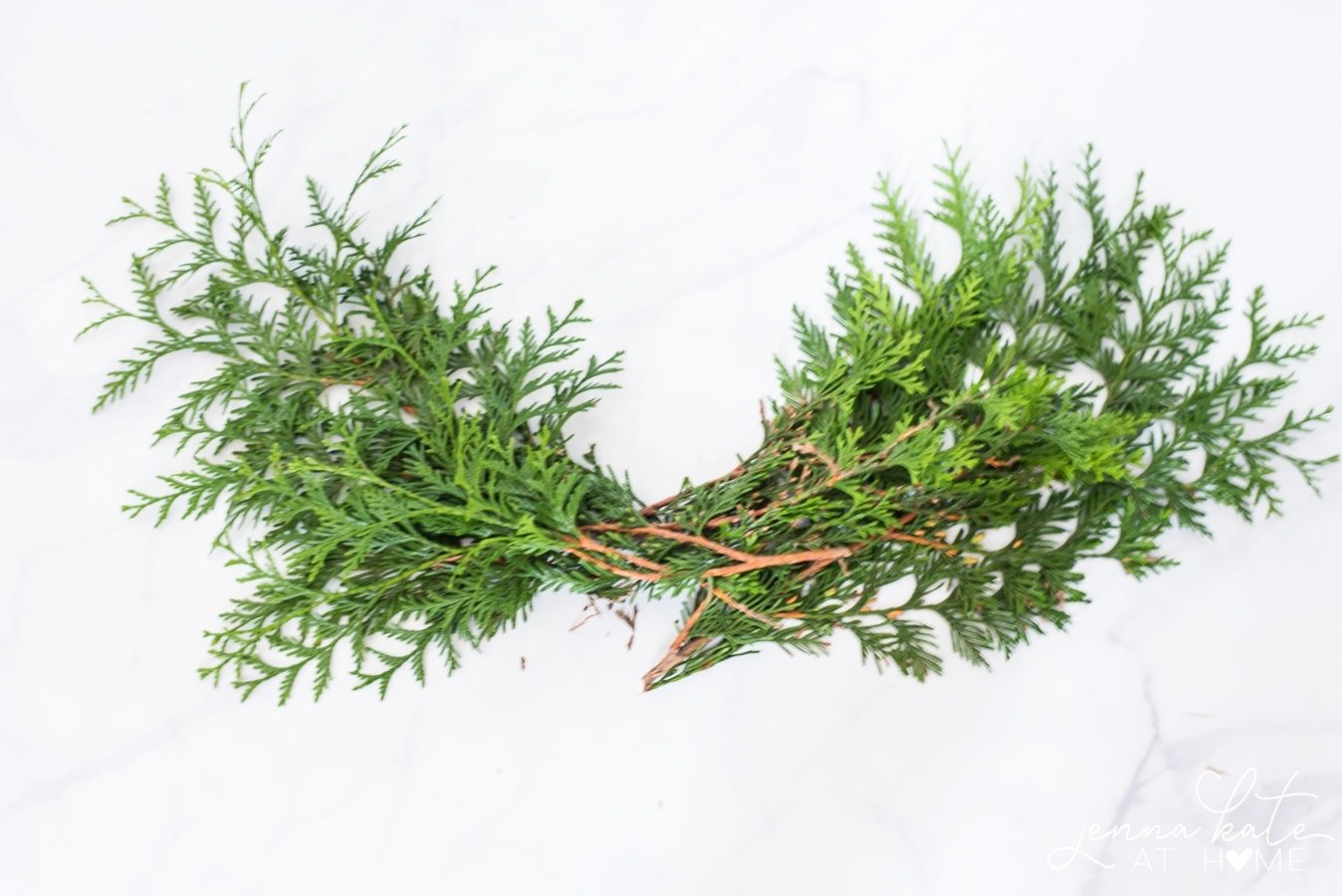 cedar clippings