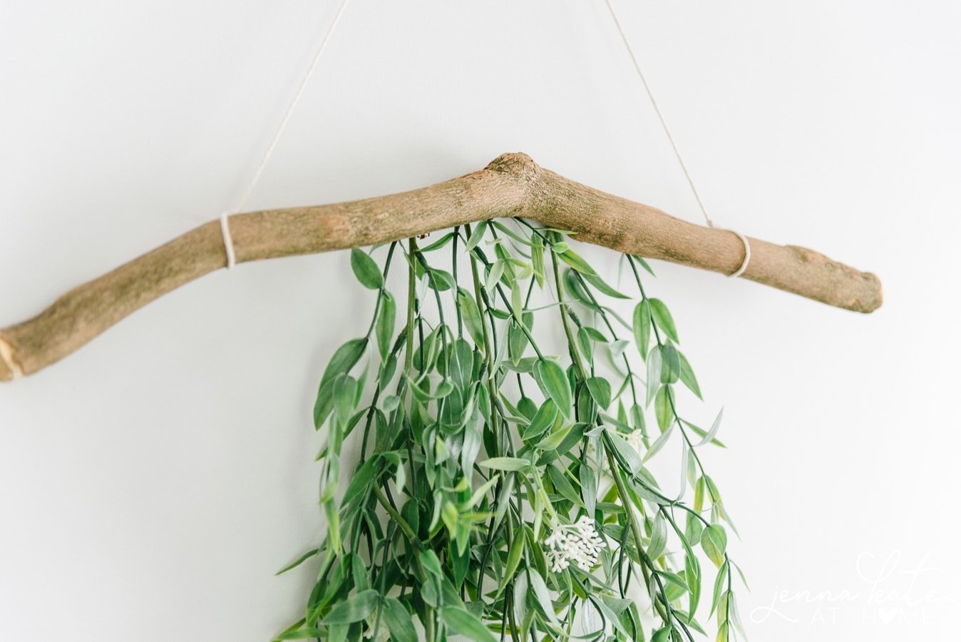 Branch with green foliage and twine, hanging on wall