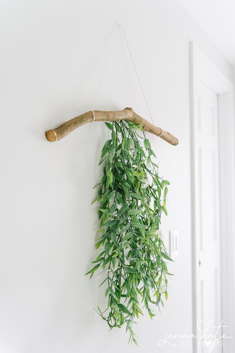 A side view of branch, hanging on wall, with green foliage cascading down