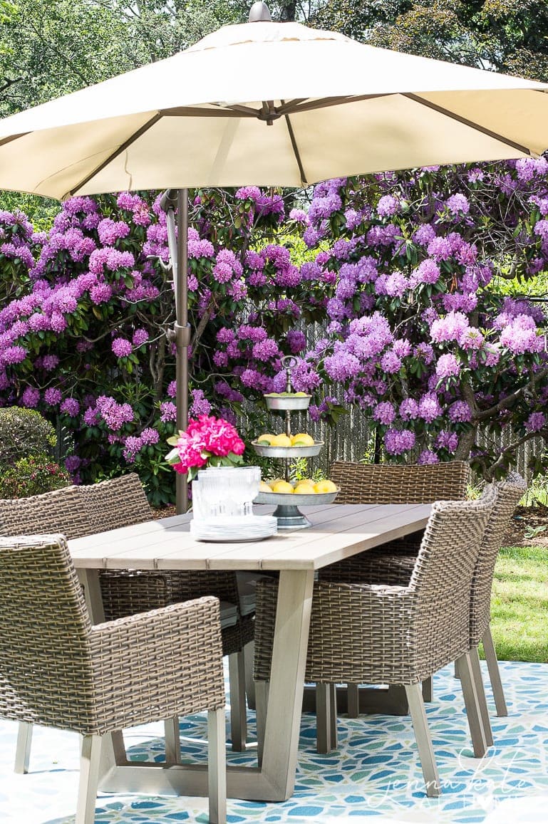 Outdoor seating area with table and chairs