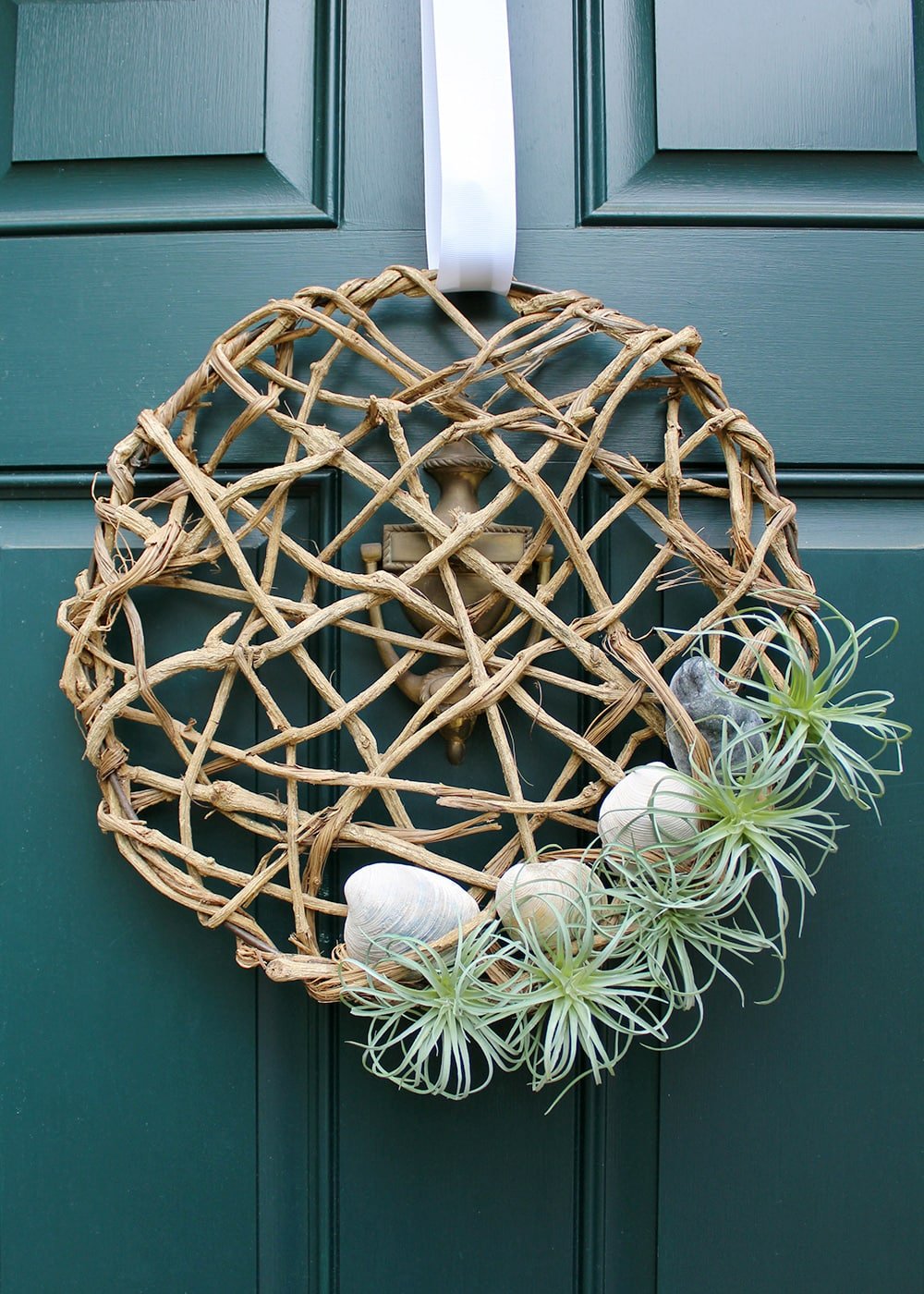a coastal inspired wreath made of twigs, seashells, and greenery