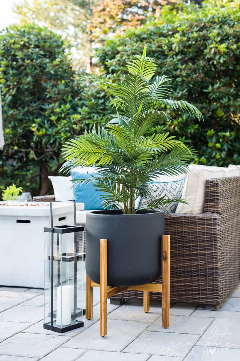 Tropical greenery adds a perfect coastal touch to our new backyard patio reveal