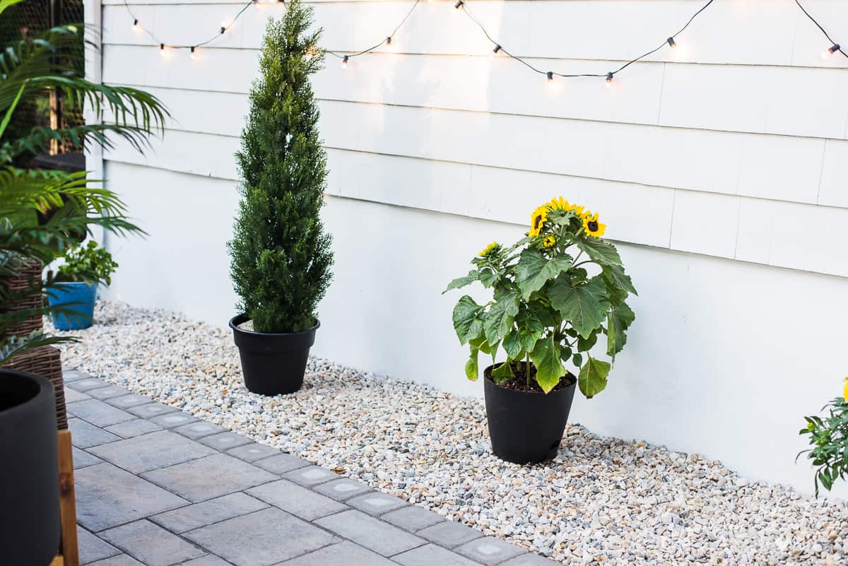 A draining boarder around our new outdoor patio, dressed up with fairy lights and tropical greenery