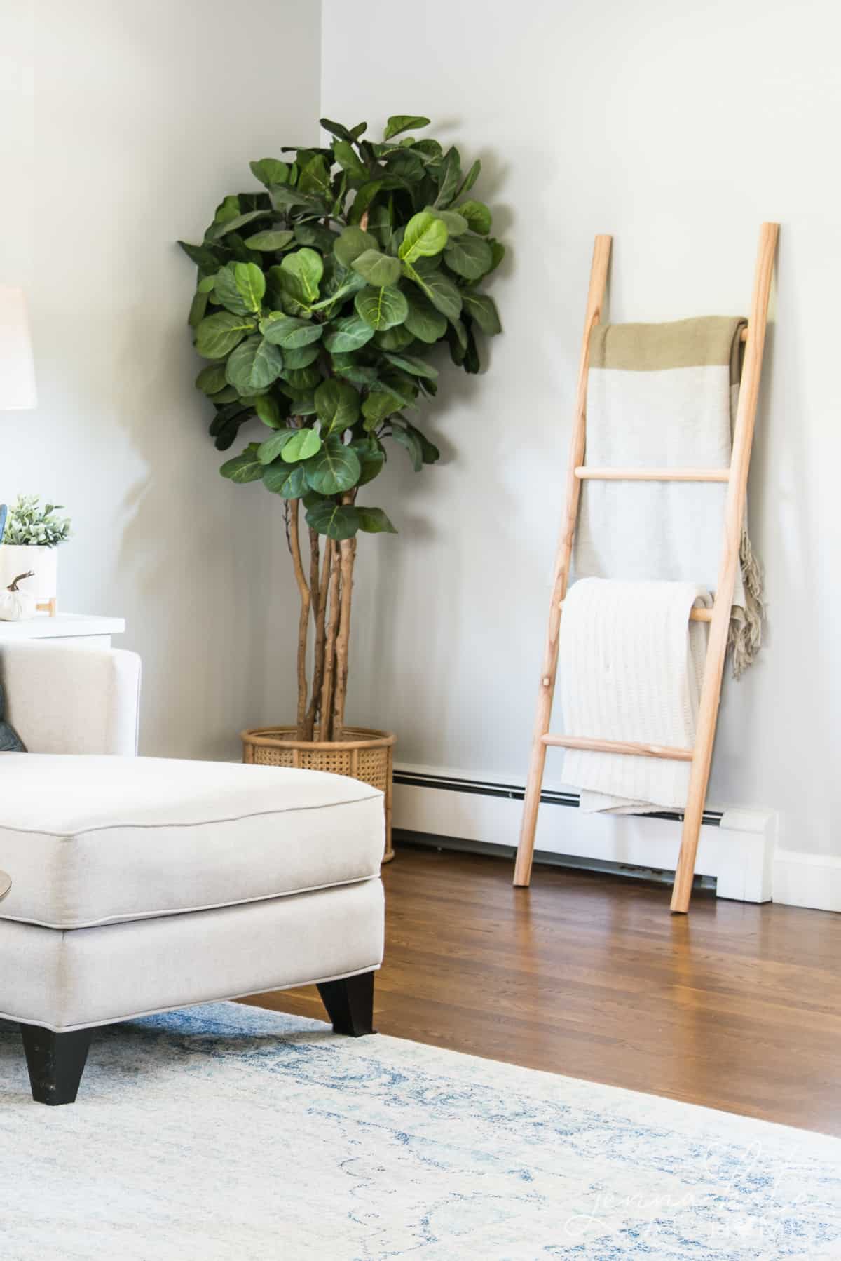 living room with blanket ladder against the wall