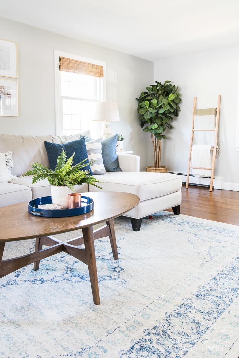 living room with couch and blanket ladder against the wall