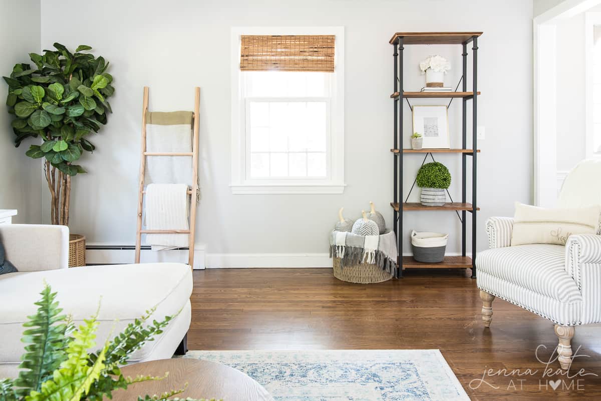 A living room with a bookcase against the wall and a blanket ladder