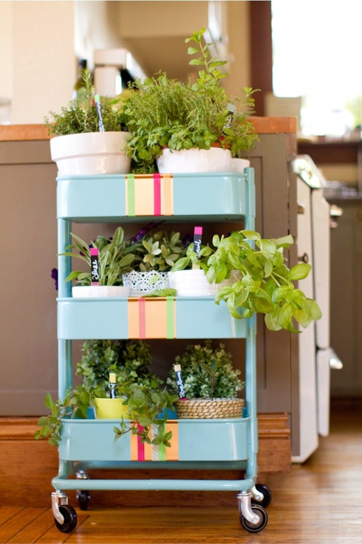 A rolling utility cart with plants in it