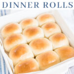 easy homemade dinner rolls